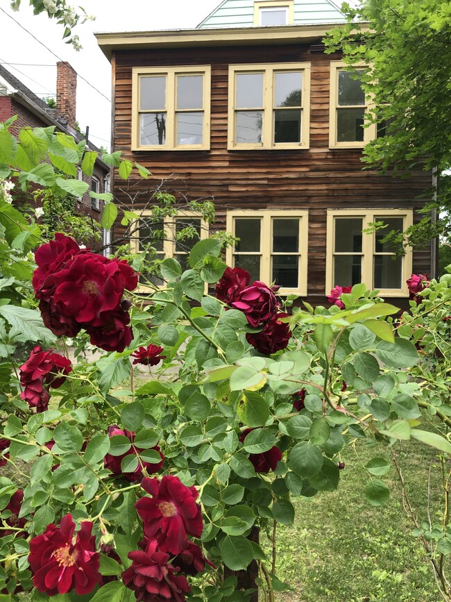 Front of House w/ Roses - 240 11th St Apartment Unit Second Floor