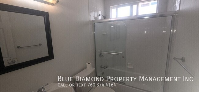 241 Delphinium-