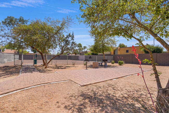 Bark Park