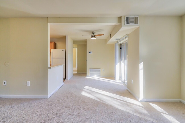 Photo - Windham Creek