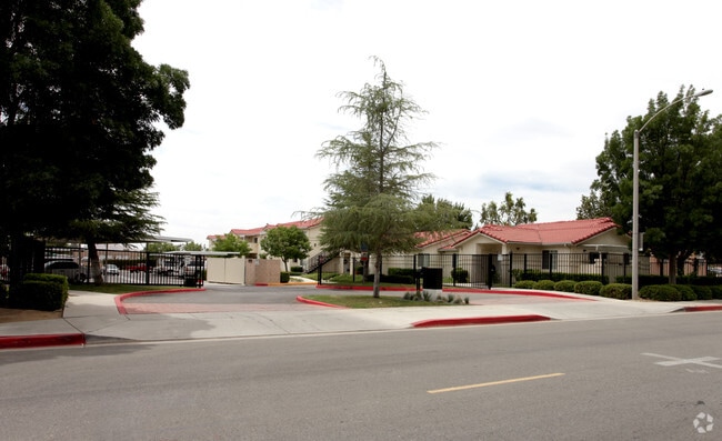 Photo - Vintage Woods