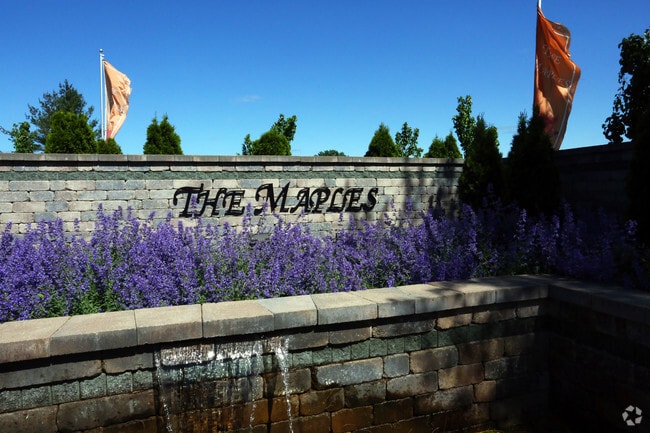 Photo - The Maples