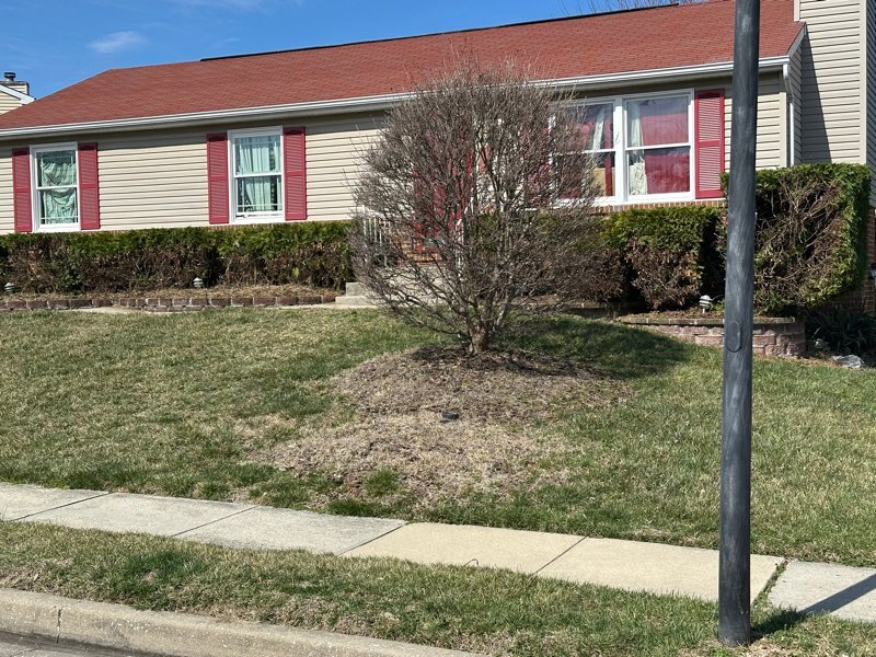 Photo - 3128 Ripple Rd