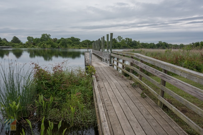 Photo - 1007 Jamaicanwood Ln