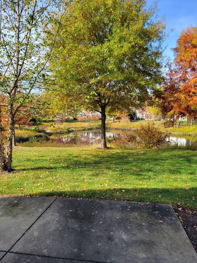 Photo - 125 Encore Ct