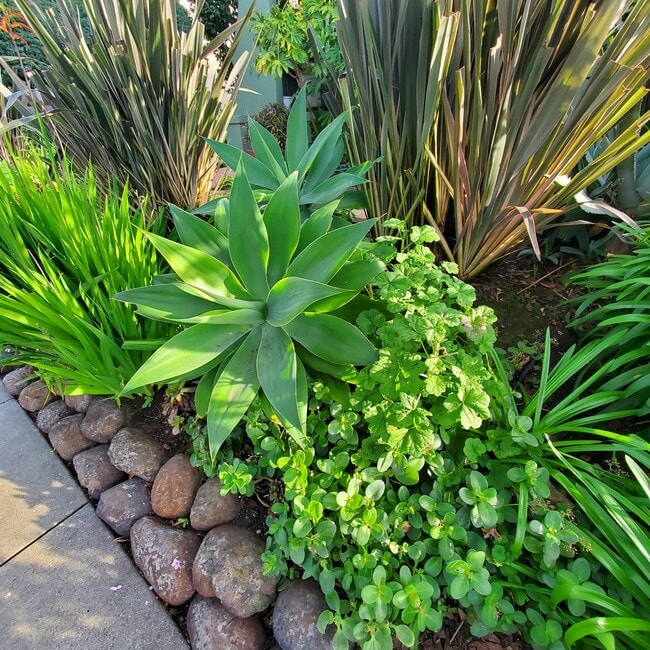 Photo - 806 Vincente Ave