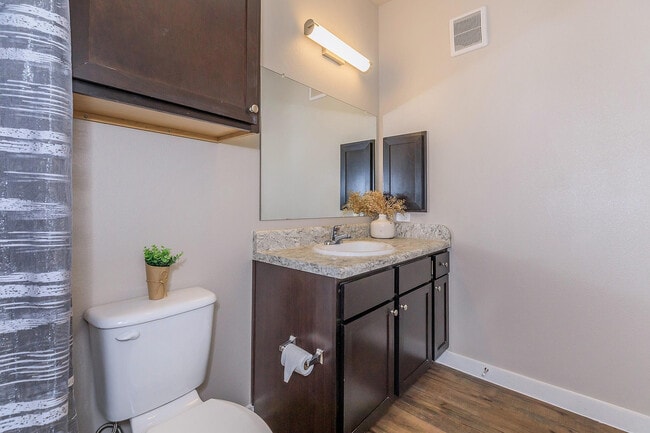 Vantage at McKinney Falls A1 Bathroom
