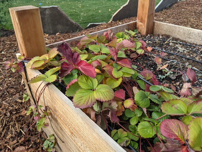 Photo - 3096 Circle Wood Dr