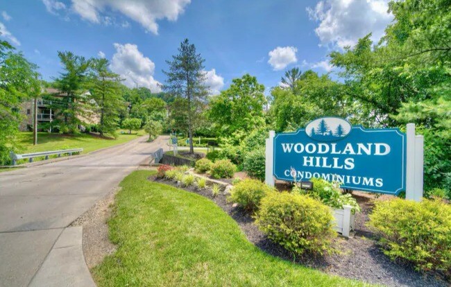 Photo - 66 View Terrace Dr Unit 9