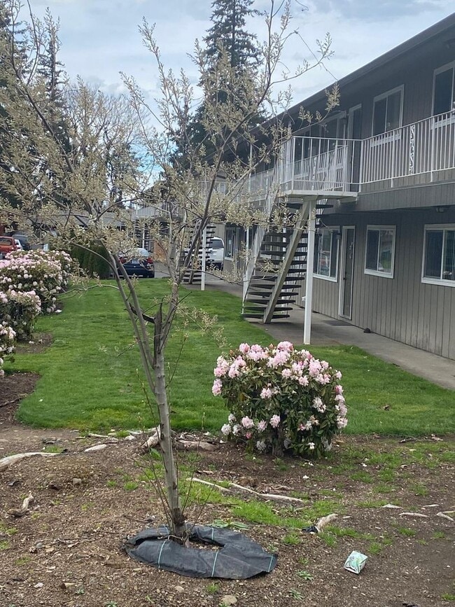 Photo - Willow Terrace