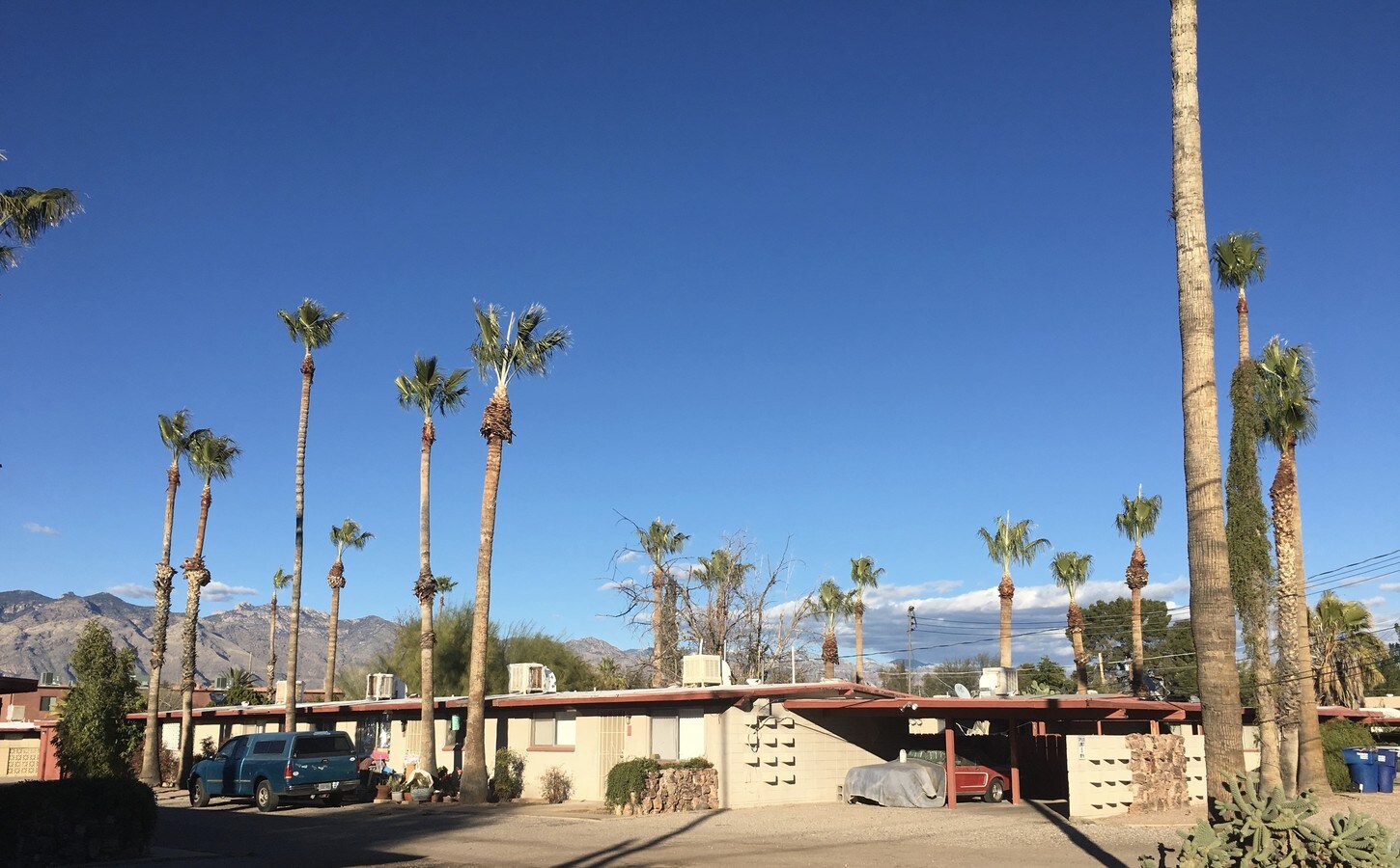 Canyon Oasis - Canyon Oasis Apartments
