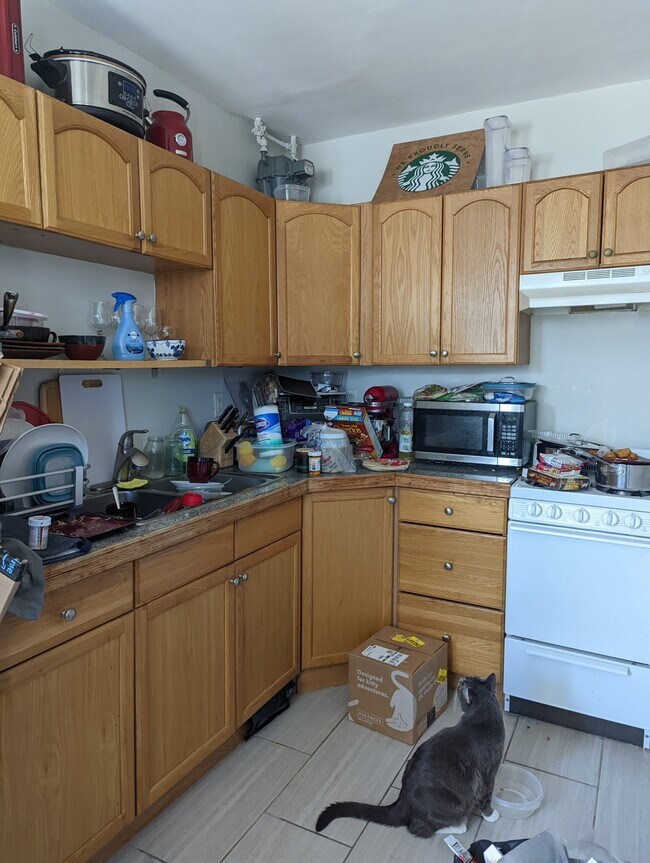 Building Photo - 46 Saint Germain St Rental