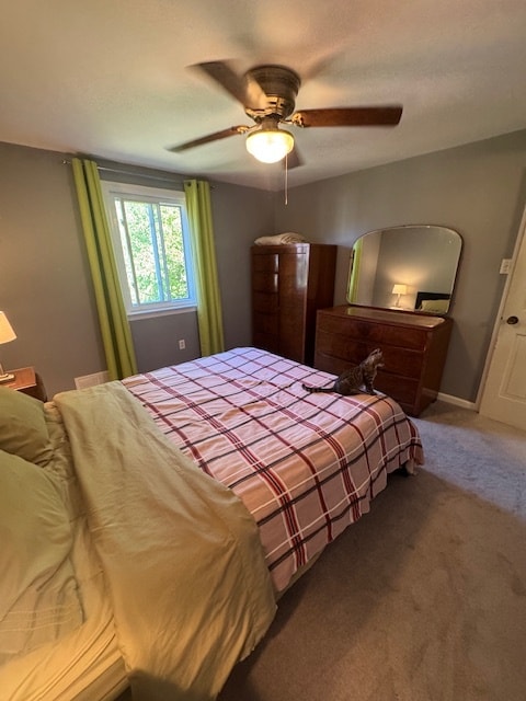 Photo - 815 Louisa St