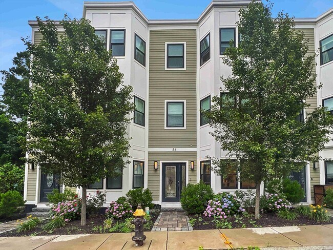 Photo - 56 Robey St