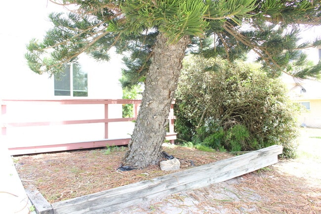 Photo - 1215 N Atlantic Ave