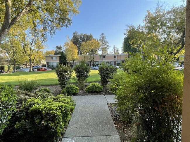 Building Photo - 1575 Drake Dr