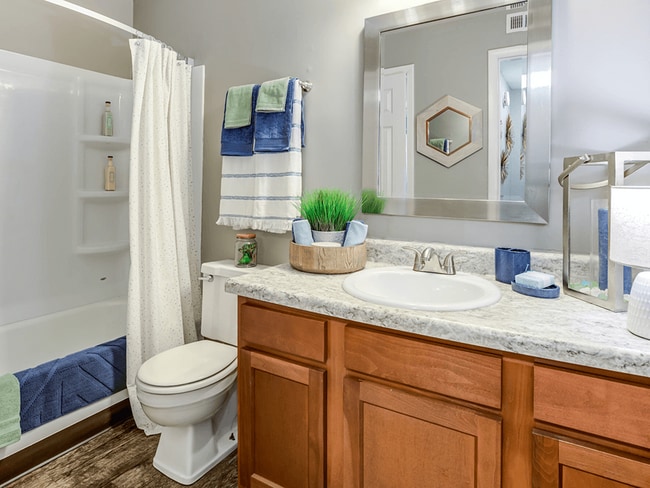 Modern Bathroom
