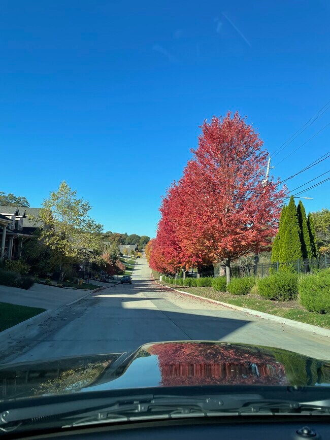 Located just minutes from airport and downtown area - 1616 Park Ave