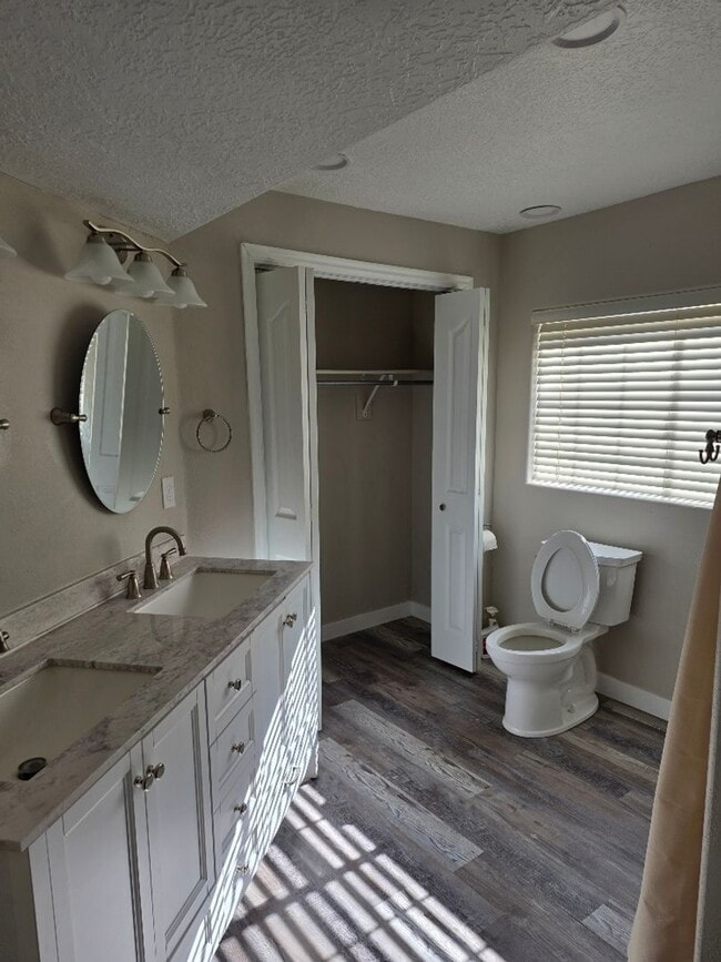 Photo - Charming basement apartment