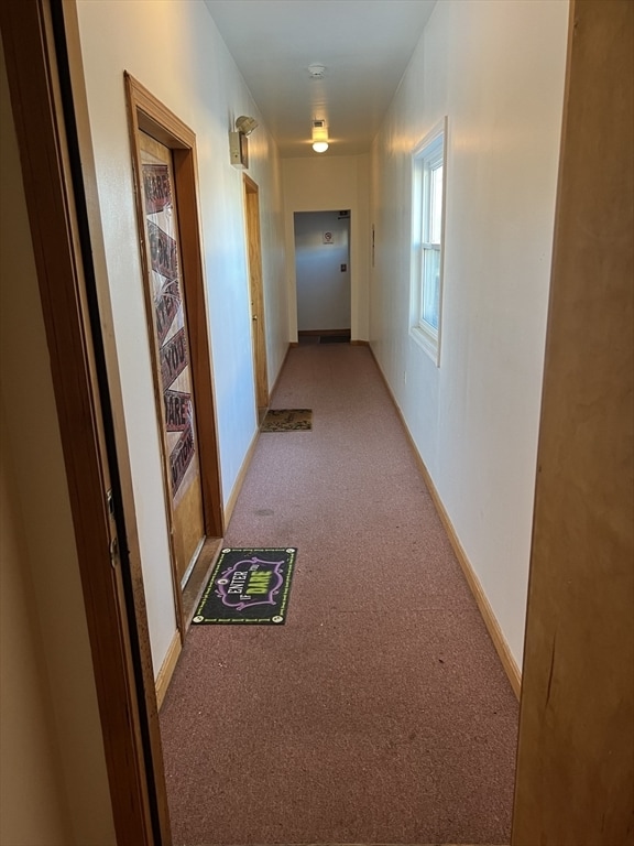 Photo - 358 Mammoth Rd