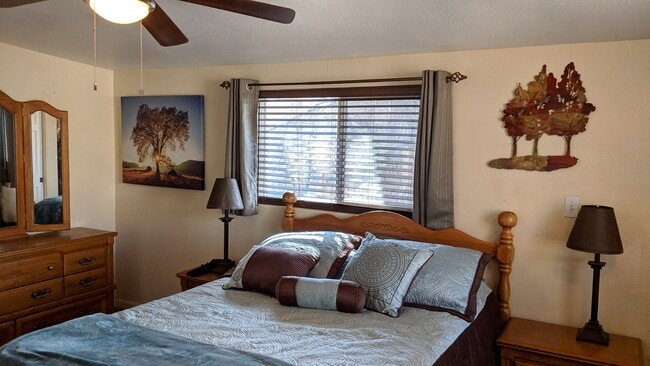 Master Bedroom - 320 S Institute St