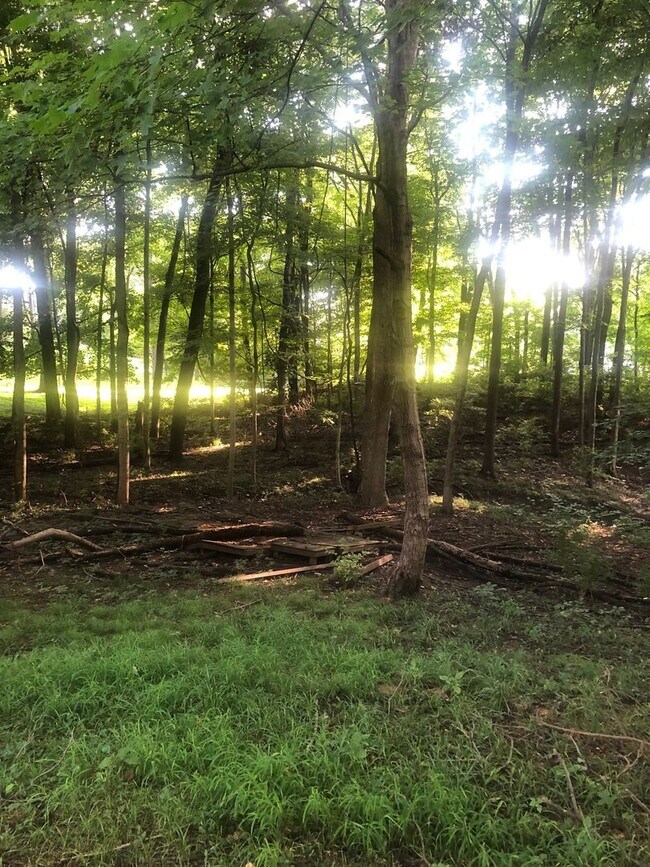 Photo - 5 bed Cabin A-frame in the woods with larg...