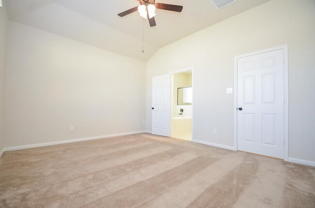 Photo - 16922 Sedum Grn