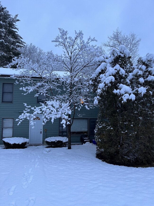 Front during winter - 202 Piscassic St