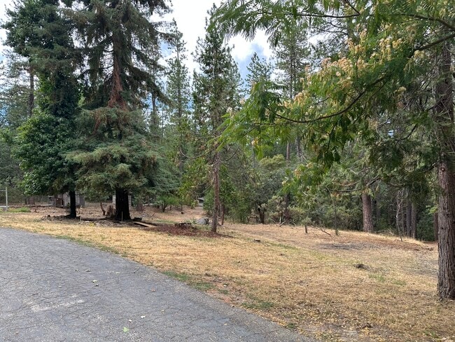 Photo - 12426 N Bloomfield Rd Unidad Cottage