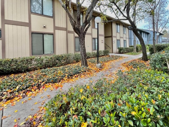Building Photo - 6292 Joaquin Murieta Ave Unit #B
