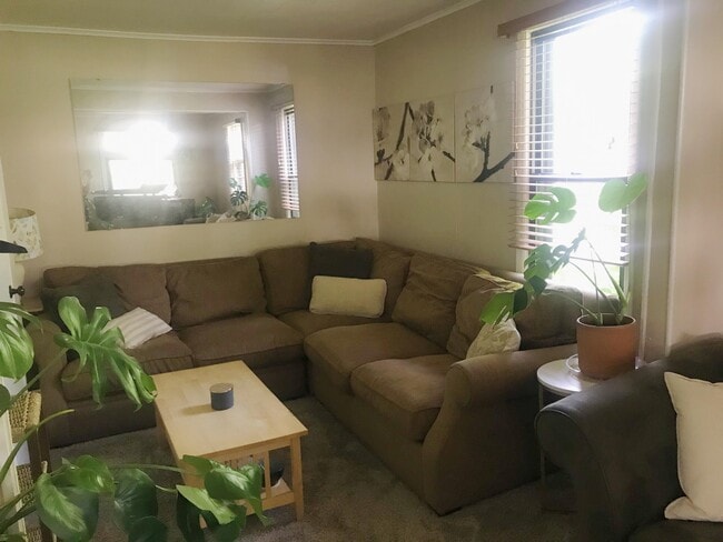 Living Room - 826 Clayland St