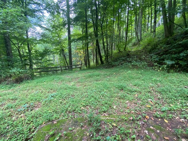 245 E View Rd