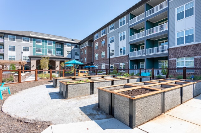 Community Garden