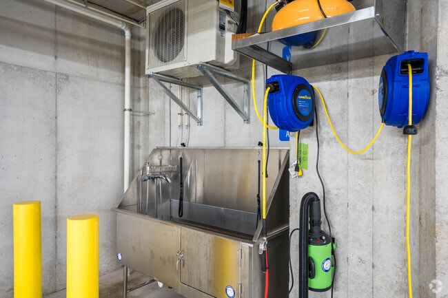 Dog Wash Station