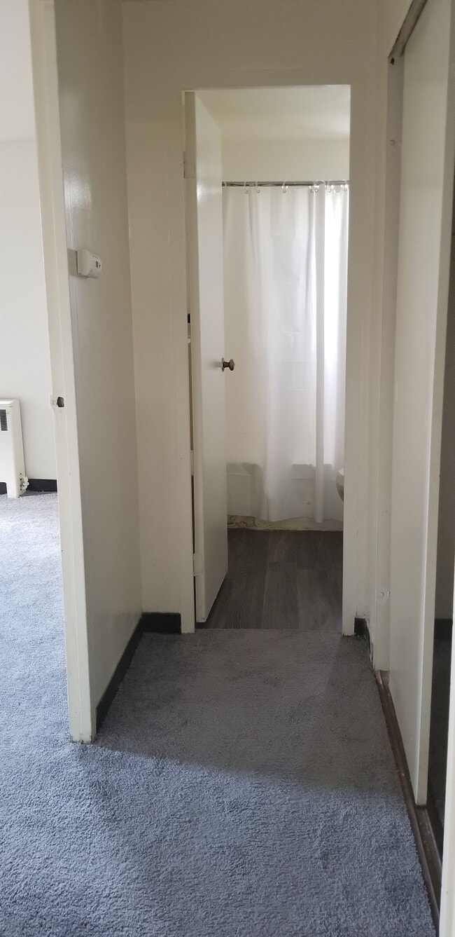 Photo - Webster Tower