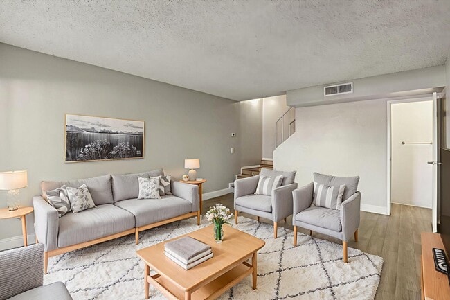 Photo - Summer Meadows