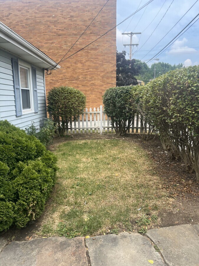 Photo - 249 Mulberry St