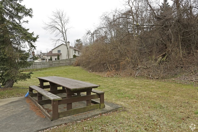 Picnic Area