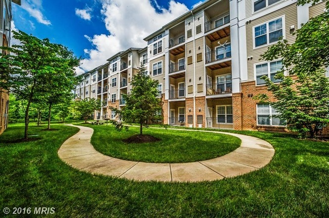 3810 Lightfoot St Apartment Unit Chantilly Park - Chantilly, VA ...