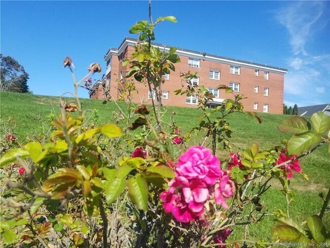 Photo - 185 Melba St Unit APT 109