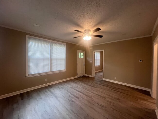 Photo - AVAILABLE TO SHOW!