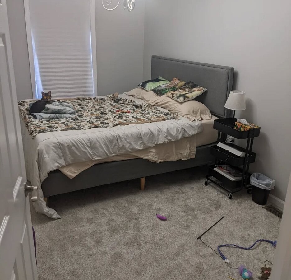 Photo - 803 Begonia Ct