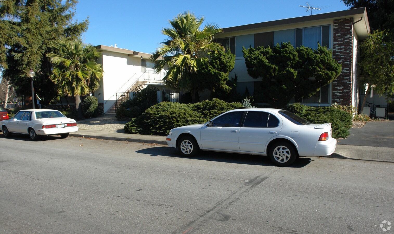 Photo - 775 Oak St Apartments