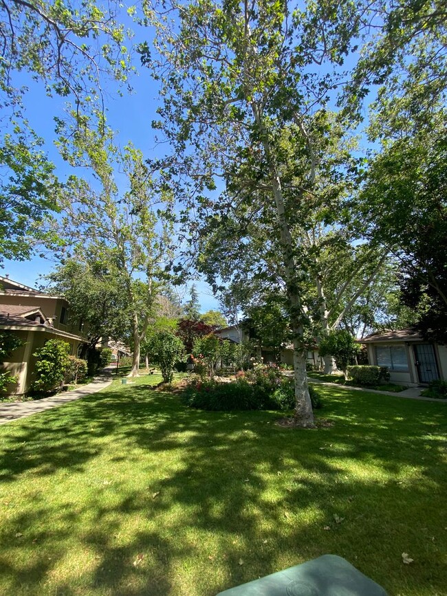 Photo - 1567 Ivycreek Cir
