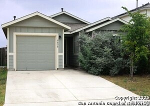 Photo - 9838 Spotted Rose