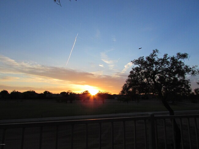 Photo - 1346 S Palomino Creek Dr