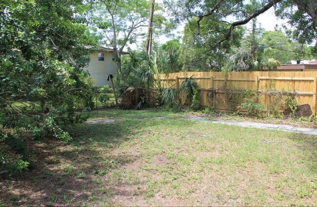 Photo - Welcome to St. Petersburg!!!