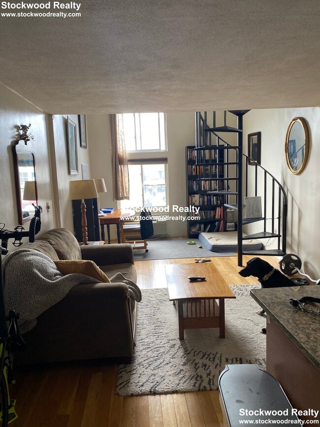 Building Photo - 382 Dorchester St Unit A8