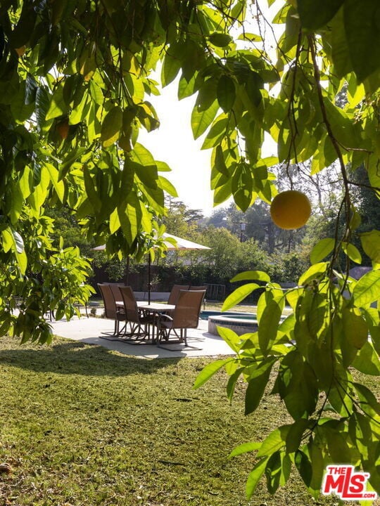 Photo - 5124 Calenda Dr