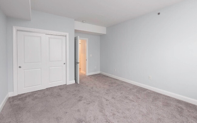 Photo - Spring Gardens